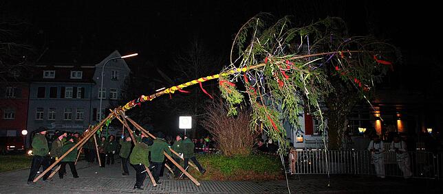 Mit geballter Manneskraft wird normalerweise von den Allensbacher Holzer der Narrenbaum der Schneckenbürgler in die Höhe gestemmt.