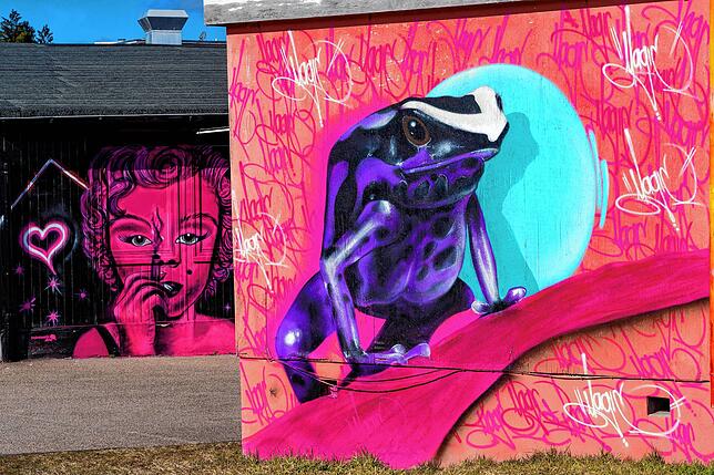 Graffiti-Kunst auf dem ehemaligen Saba Areal. Rund 20 Künstler waren es am Ende; die zusammen mit Jonas Fehlinger und Steffen Schulz an ...