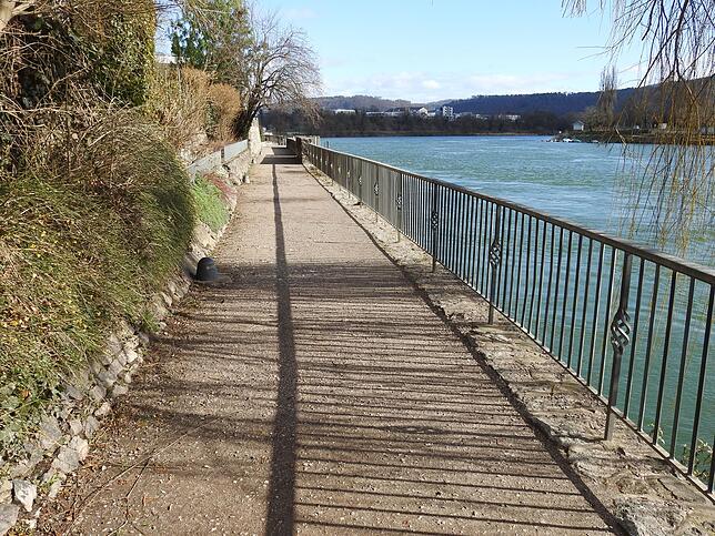 Die Rheinpromenade wurde im Zuge der Stadtsanierung erheblich aufgewertet und durch Verbindungen enger an die Altstadt angebunden.
