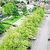 Bild :