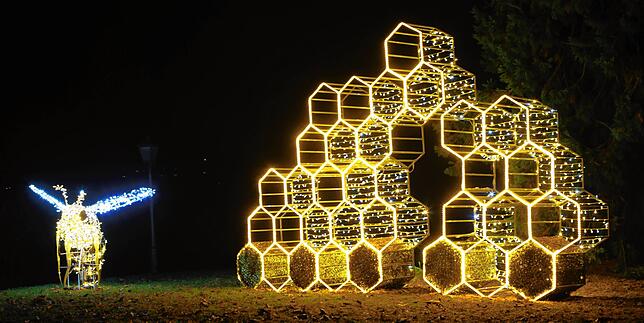 Bild 9: Lichter tanzen auf der Mainau: So haben Sie die Blumeninsel im Bodensee noch nie gesehen