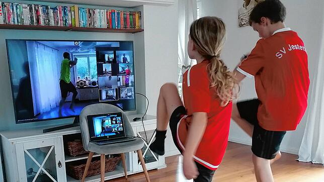 Zoom-Training: Der SV Jestetten bietet für seinen Nachwuchs ein Videotraining mit dem Jestetter Kickbox-Weltmeister Ramon Kübler an. ...