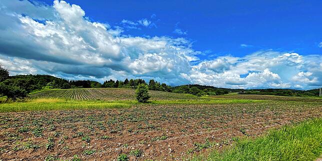 Noch ist nicht jeder Grundstückseigner bereit, sein Land an die Stadt zu verkaufen.