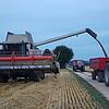 Die Getreideernte ist in vielen Regionen noch nicht abgeschlossen, wobei die Landwirte mit den Erträgen durchaus zufrieden sind. ...