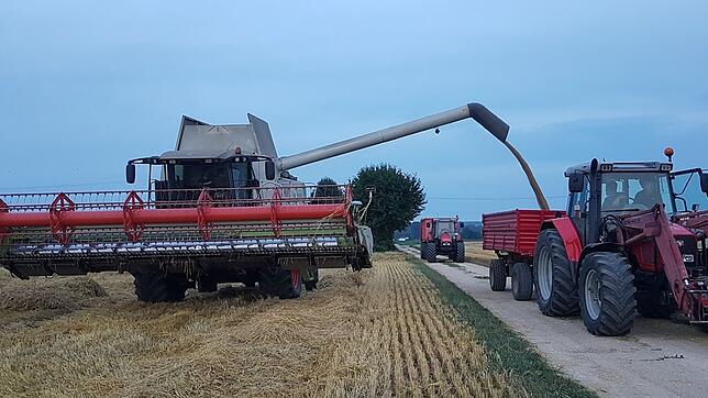 Die Getreideernte ist in vielen Regionen noch nicht abgeschlossen, wobei die Landwirte mit den Erträgen durchaus zufrieden sind. ...