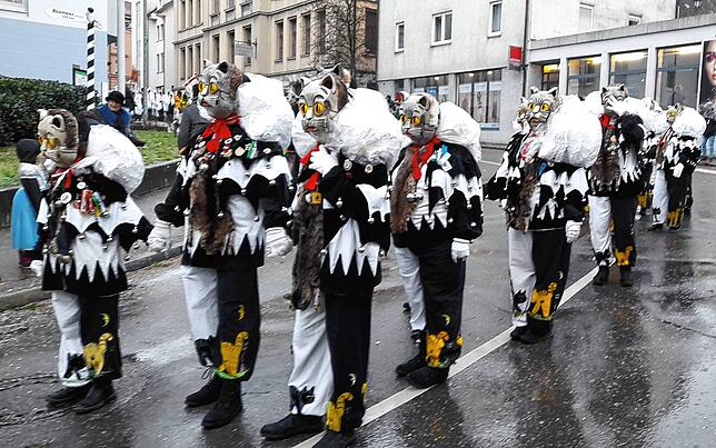 Die Katzenzunft aus Meßkirch bei der Aufstellung für den närrischen Lindwurm.