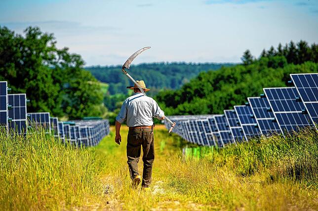 Landwirtschaftliche Nutzung ist aufgrund der weiten Abstände der Module weiterhin möglich, so wie auf unserem Bild zu sehen.