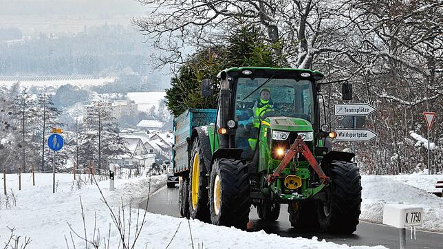 Weihnachtsbäume auf ihrem letzten Weg. In normalen Jahren kommen rund 2000 für den Funken zusammen.