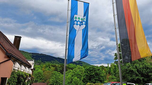 Seit 75 Jahren eine Stadt: Das Wehrer Wappen auf der Flagge. Foto: Steffi Weickert