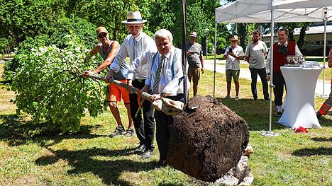 Bild : Jubiläum in Radolfzell: Winterlinde erinnert an 50 Jahre Freundschaft mit Istres