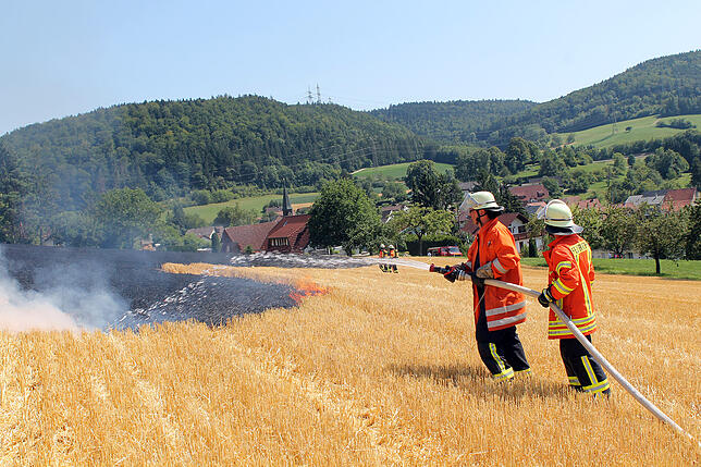 Bild 2: Flächenbrand bei Blumberg-Epfenhofen erfordert einen Großeinsatz der Blumberger Feuerwehr