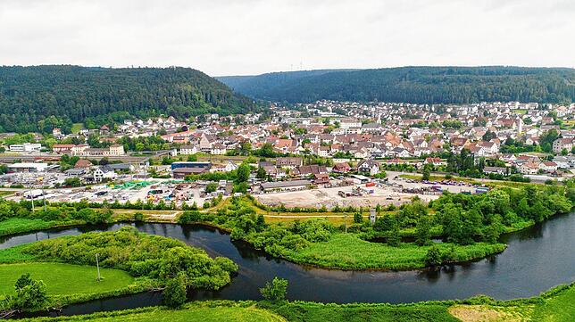 Blick auf Immendingen.