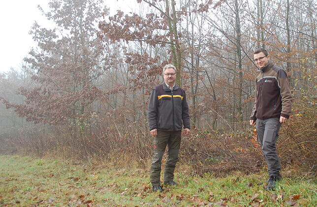 Revierleiter Gerd Fricker und Forstwirtschaftsstudent Luca Kiener machen Bestandsaufnahme 20 Jahre nach Lothar.