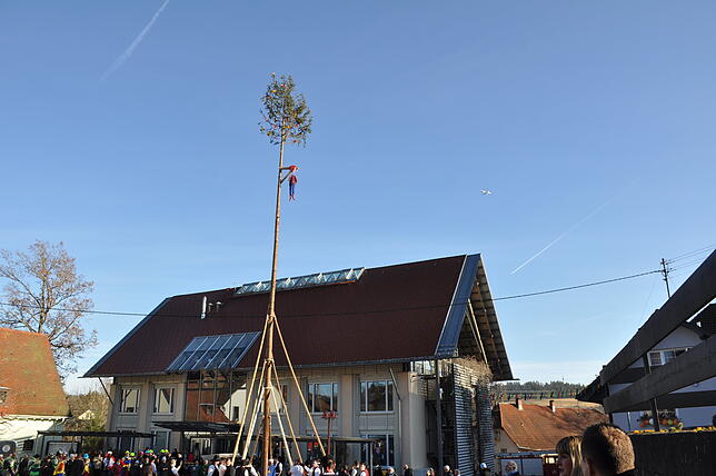 Bild 6: Bilder und Videos vom Schlüchttalnarrentreffen: Narrenbaumstellen am Freitag und Zunftmeisterempfang am Sonntag