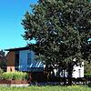 Ein große Baum schattet die Solaranlage auf diesem Wohnhaus ab, der Streit darüber landete sogar vor Gericht. Das pikante Detail: In dem ...