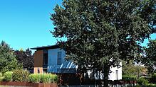 Ein große Baum schattet die Solaranlage auf diesem Wohnhaus ab, der Streit darüber landete sogar vor Gericht. Das pikante Detail: In dem ...