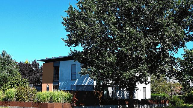 Ein große Baum schattet die Solaranlage auf diesem Wohnhaus ab, der Streit darüber landete sogar vor Gericht. Das pikante Detail: In dem ...