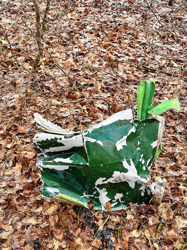 Bild 10: Tödlicher Flugzeugabsturz: Eindrücke von der Bergung des Wracks