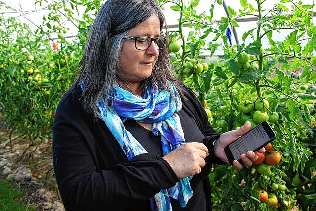 Bild 2: Nachhaltiges Biogemüse in einer solidarischen Landwirtschaft: Das bietet der Verein Baarfood