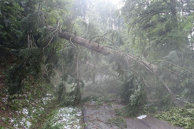 Bild 10: Die Folgen des Unwetters rund um Bonndorf am Freitag, 26. Juli 2019