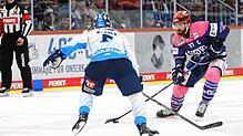 Wild Wings-Kapitän Thomas Larkin geht in der Länderspielpause für die italienische Nationalmannschaft in Budapest aufs Eis.