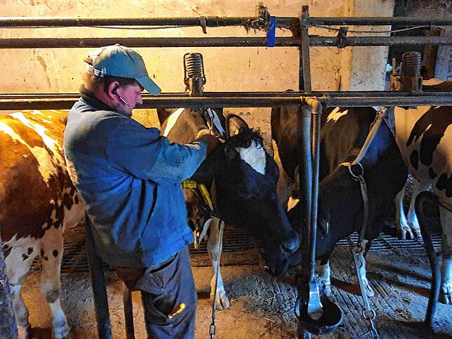 Mit viel Geduld und Ruhe bereitete Landwirt Michael Schwander die Tiere auf ihren Abtransport in ihren neuen Stall vor.