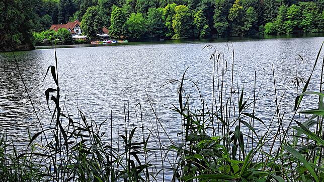 Der Bergsee.