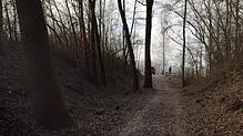 Seeparkranger Andreas Lungfiel ist täglich unterwegs.