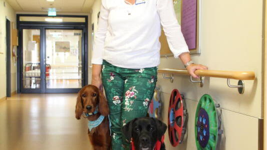 Hundeführerin Ilona Huber und ihre beiden Hunde Hope und Momo helfen kranken Kindern im Häfler Klinikum, den Weg zurück in den Alltag zu ...