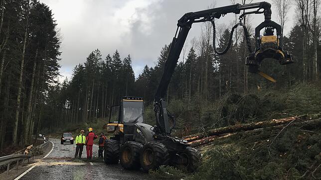 Mit einem Vollernter befreit Anton Peter am Montag die Kreisstraße von umgeknickten Bäumen.