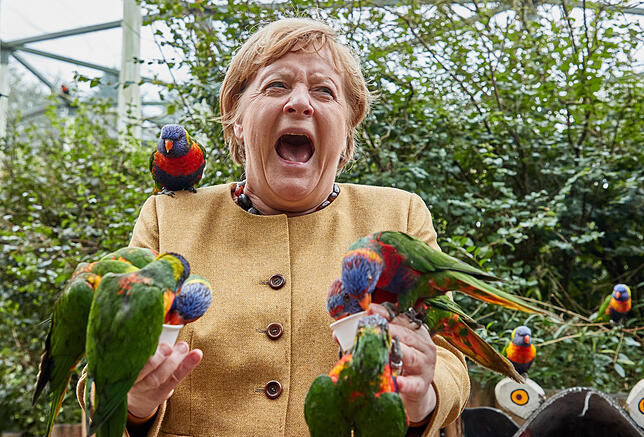 Bundeskanzlerin Angela Merkel besucht den Vogelpark Marlow Angela Merkel füttert australische Loris im Vogelpark Marlow und wird dabei gebissen.