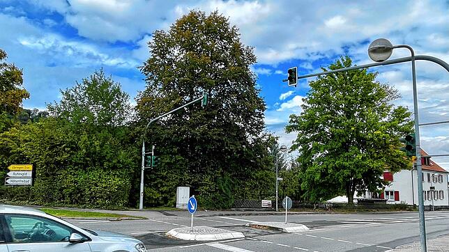 Hinter dem grünen Wall liegt das Grundstück mit der Hausnummer Hauptstraße 1. Hier plant die Gemeinde Gottmadingen ein zweites Wohnhaus ...