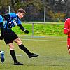 Bild :