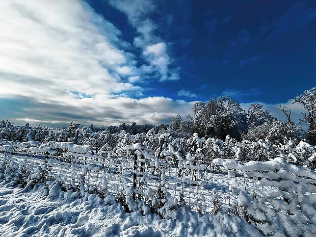 Bild 6: Was für ein Wintereinbruch am Bodensee: Die schönsten Schnee-Bilder vom Wochenende