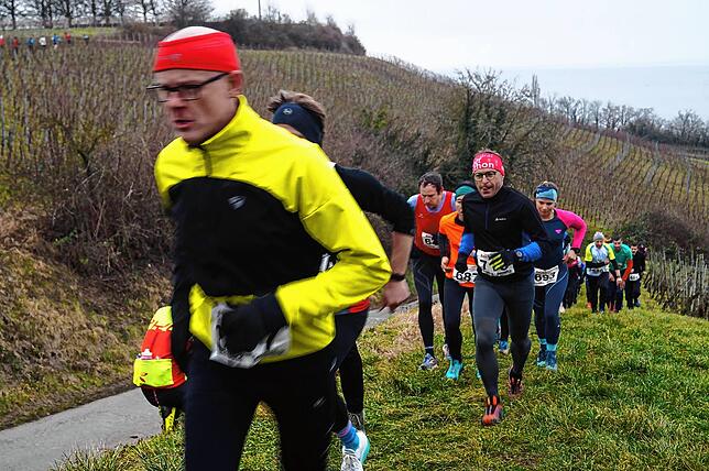 Bild 18: Bilder vom Crosslauf Hegau-Bodensee in den Reben oberhalb der Haltnau