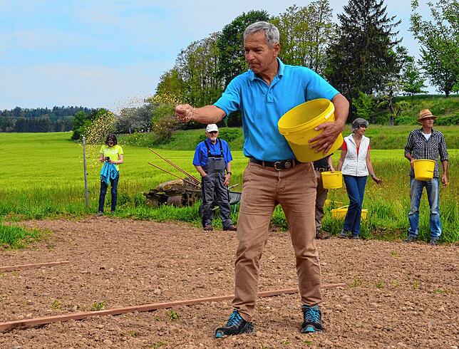 Der frühere Markdorfer UWG-Stadtrat Karl King engagiert sich abseits des Sonnenkraftnetzwerks auch anderweitig für die Natur. Hier sät ...