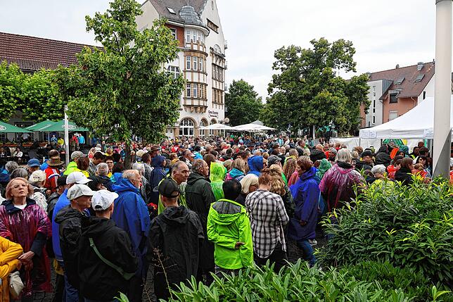 Der Rathausplatz wird fürs Hohentwielfestival 2025 zur Konzert-Location.