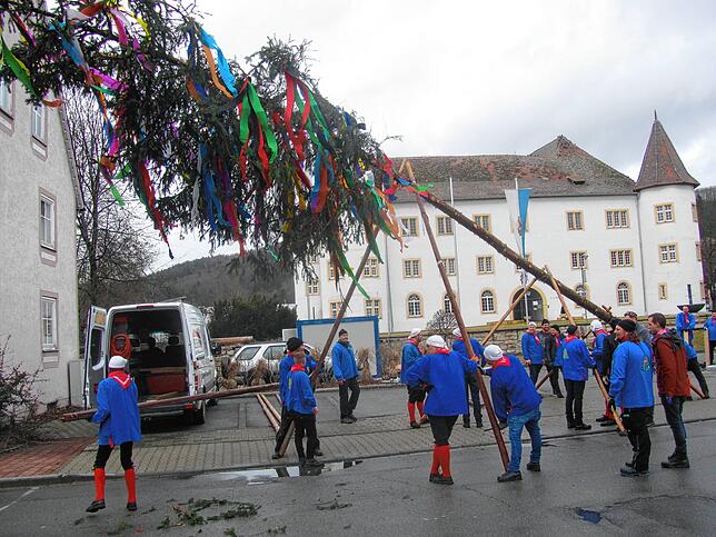 Mit voller Kraft stemmen die Zunftmitglieder den hohen Narrenbaum vor dem oberen Schloss gen Himmel.