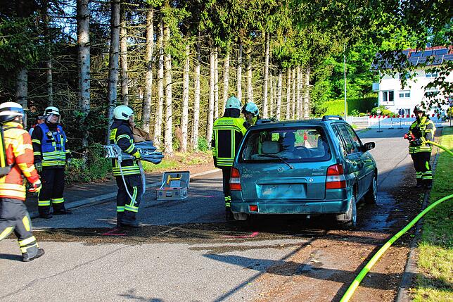 Eine der Disziplinen bei den Prüfungen für ein Leistungsabzeichen der Feuerwehren war Technische Hilfe mit Rettung einer Person aus ...