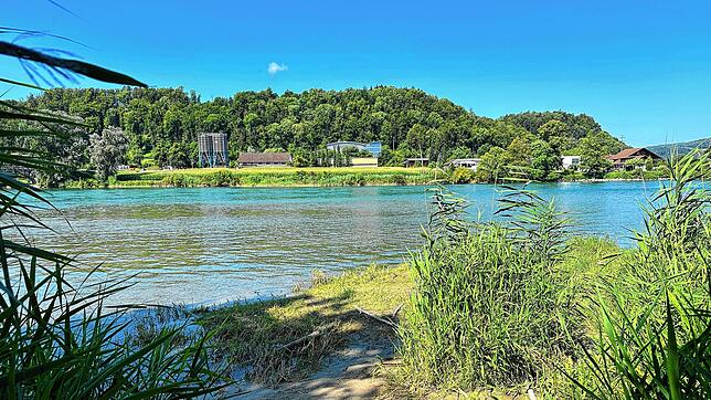 Blick auf den Rhein von der zweiten Badestelle gegenüber des Schäferhundevereins Waldshut aus.