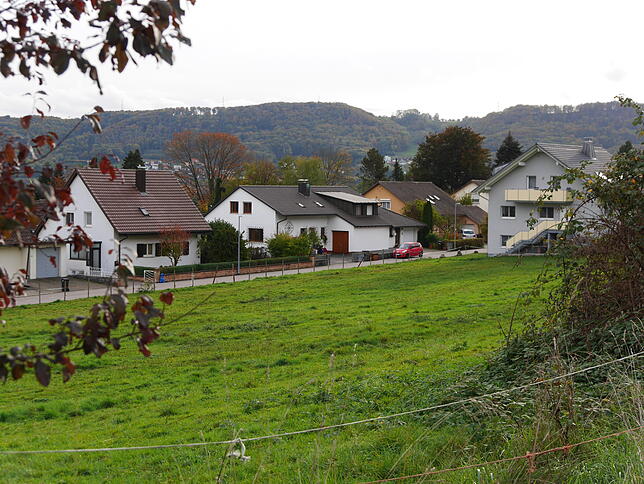 Bild 2: Hier könnte die Stadt noch wachsen: Die acht wichtigsten Flächen für eine bauliche Entwicklung Bad Säckingens