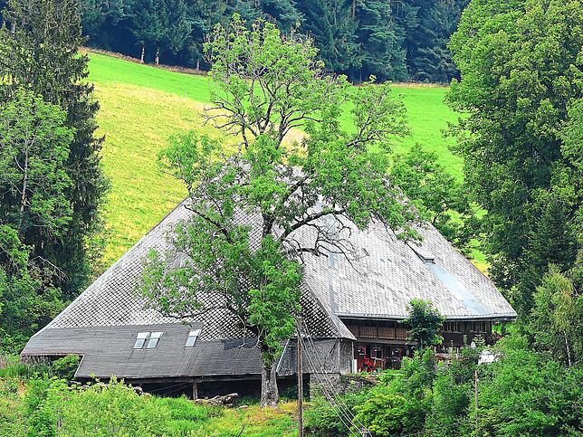 Verschwiegen liegt der Untere Schererhof kurz vor dem Ortseingang zu Gütenbach. Von der Landstraße aus ist er nicht zu sehen.