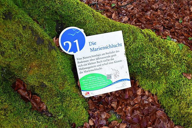 Das alte Schild liegt am Fuß eines Baums.