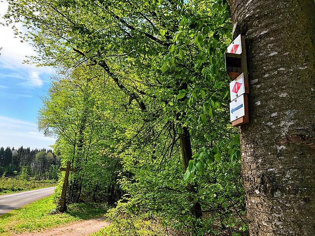Bild 6: Wandern vor der Haustür (Teil 3): Zu den Toblerone-Häusern und zum Froschteich auf dem Waldshuter Aarberg