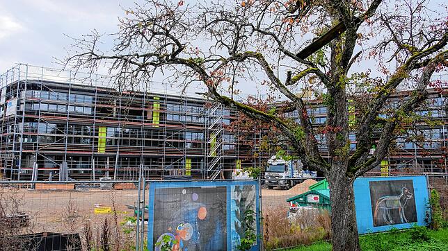 Seit der letzten Abrechnung sind die Kosten für die Eichendorff-Realschule (hier das Gebäude von vorne) in Gottmadingen nochmal leicht ...
