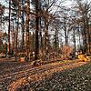 Auch beim Waldfriedhof in Karsau müssen einzelne Bäume aus Sicherheitsgründen gefällt werden.