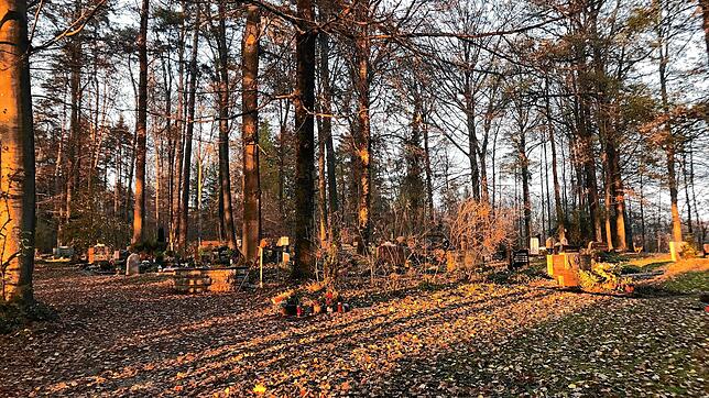 Auch beim Waldfriedhof in Karsau müssen einzelne Bäume aus Sicherheitsgründen gefällt werden.