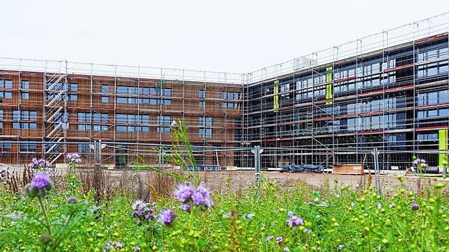 Der Neubau der Gottmadinger Eichendorffschule geht voran. Jetzt haben die Gemeinderäte auch die letzten Gewerke vergeben.