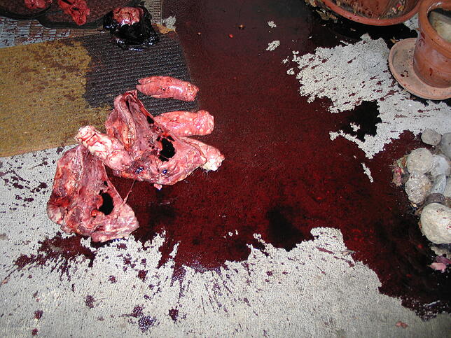 Diese Schweinefleisch-Abfälle wurden vor fünf Jahren vor Wolfgang Koschnicks Tür geschüttet.