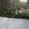 Dieser umgestürzte Baum blockiert die Straße von Mottschieß nach Lausheim.